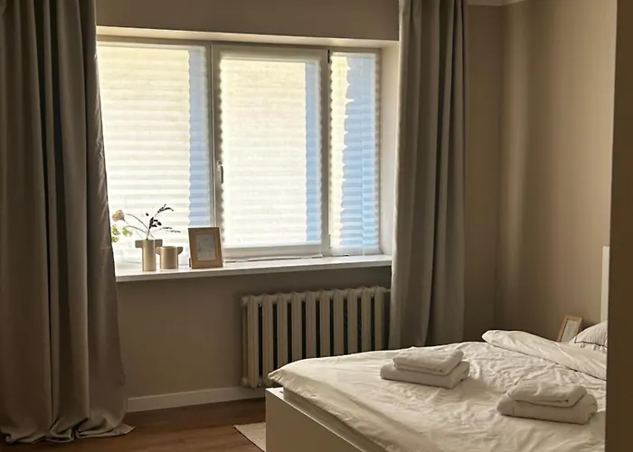Skandi Appartments In Saldus City Center