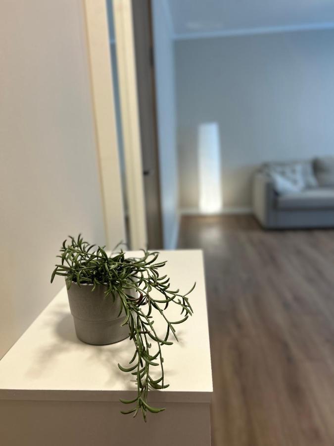 Skandi Appartments In Center Apartment