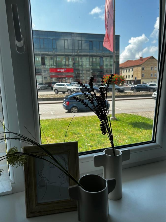 Skandi Appartments In Center Apartment Saldus